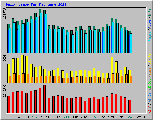 Daily usage for February 2021