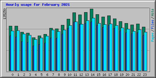 Hourly usage for February 2021